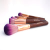 5pc Complexion Brush Set | Fairytale Collection